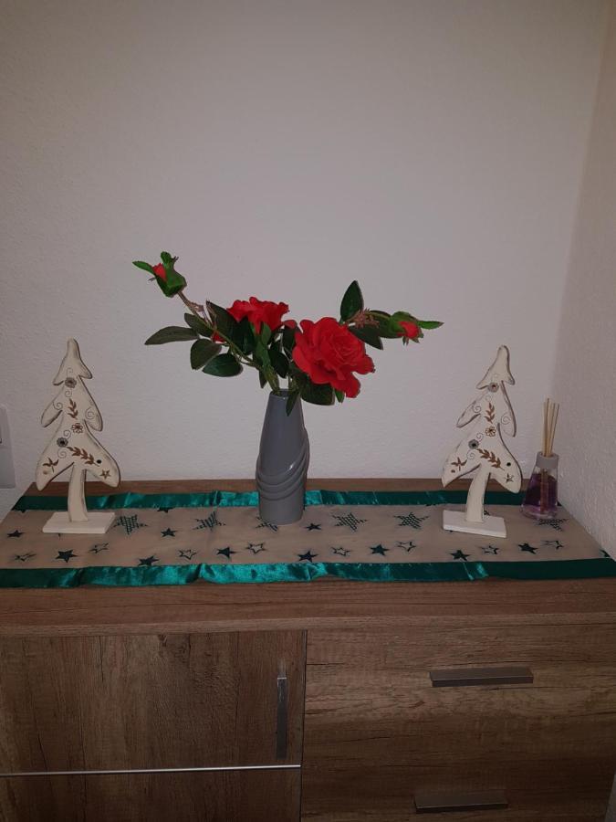 Apartments Nikol - Ludwigshafen Екстериор снимка